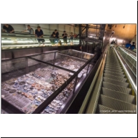 2018-07-28 M52 Rokin 02.jpg